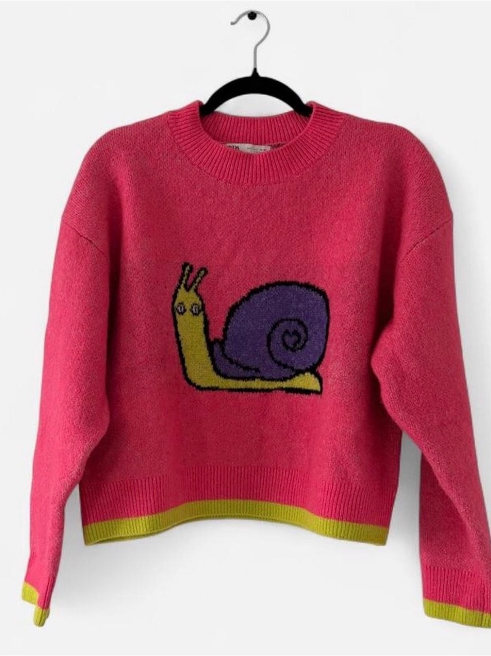 Zara Women’s Large Jacquard Snail Sweater